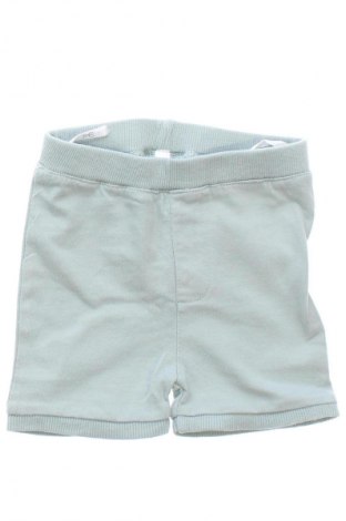 Dětské krátké kalhoty  Zeeman, Velikost 1-2m/ 50-56 cm, Barva Zelená, Cena  149,00 Kč