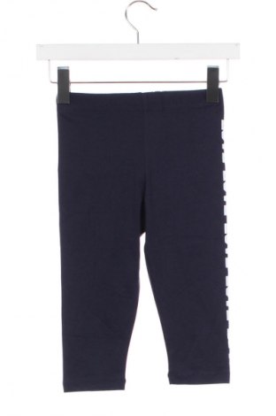 Detské legíny  MSHB&G, Veľkosť 9-10y/ 140-146 cm, Farba Modrá, Cena  5,95 €