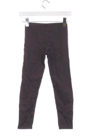 Detské legíny  Palomino, Veľkosť 7-8y/ 128-134 cm, Farba Sivá, Cena  8,95 €