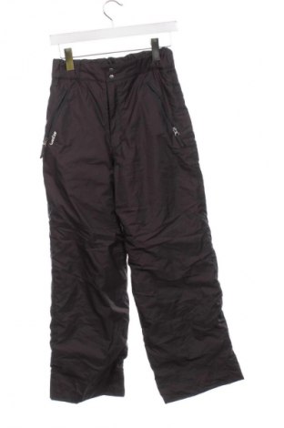 Dětské kalhoty pro zimní sporty  Wedze, Velikost 13-14y/ 164-168 cm, Barva Šedá, Cena  479,00 Kč