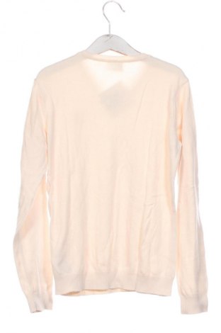 Dziecięcy sweter U.S. Polo Assn., Rozmiar 9-10y/ 140-146 cm, Kolor Beżowy, Cena 55,99 zł