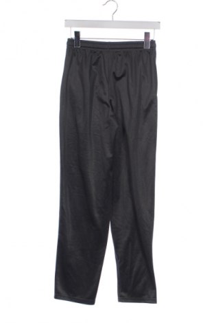 Dětské tepláky Tex, Velikost 13-14y/ 164-168 cm, Barva Šedá, Cena  409,00 Kč
