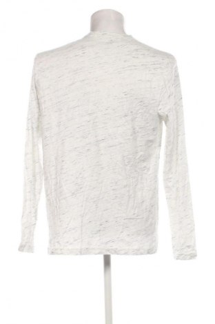 Herren Shirt Dressmann, Größe XL, Farbe Mehrfarbig, Preis 16,99 €