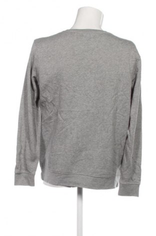 Pánske tričko  Kappa, Veľkosť XL, Farba Sivá, Cena  23,95 €
