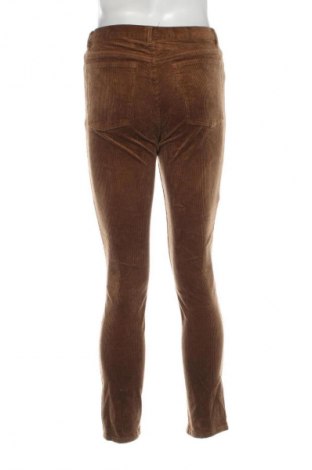 Herren Cordhose H&M, Größe S, Farbe Beige, Preis € 11,99