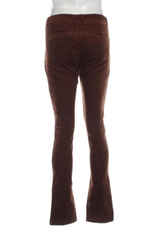 Herren Cordhose Hampton Bays, Größe M, Farbe Braun, Preis 8,99 €