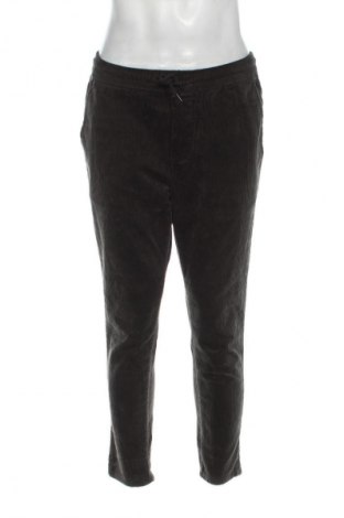Herren Cordhose Only & Sons, Größe M, Farbe Grün, Preis € 27,99