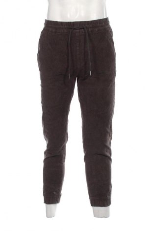 Herren Cordhose Pull&Bear, Größe M, Farbe Grau, Preis € 27,99