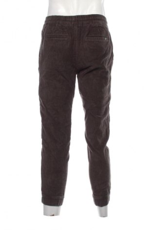 Herren Cordhose Pull&Bear, Größe M, Farbe Grau, Preis € 27,99