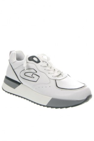 Herrenschuhe Alberto Guardiani, Größe 42, Farbe Mehrfarbig, Preis € 117,99