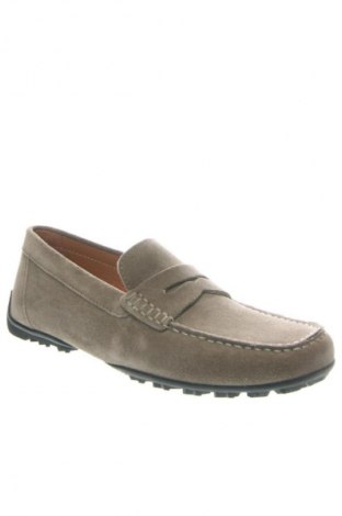 Herrenschuhe Geox, Größe 41, Farbe Grün, Preis € 124,99