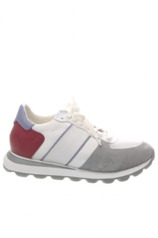 Herrenschuhe Geox, Größe 40, Farbe Mehrfarbig, Preis 142,99 €