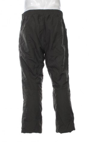 Herrenhose Quechua, Größe L, Farbe Grün, Preis € 17,99