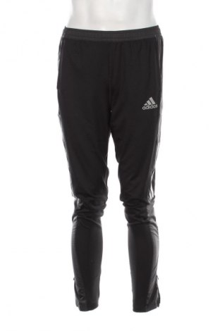 Herren Sporthose Adidas, Größe S, Farbe Mehrfarbig, Preis € 35,10