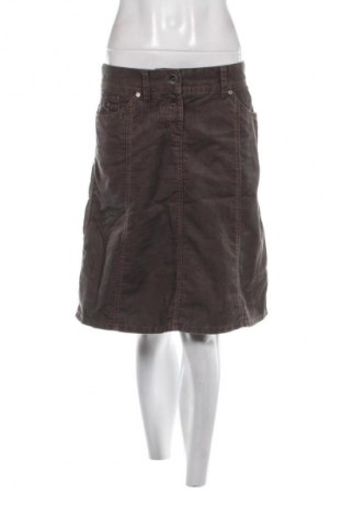 Φούστα Esprit de Corp, Μέγεθος M, Χρώμα Γκρί, Τιμή 8,99 €