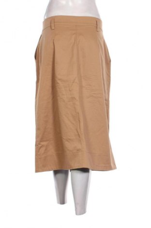 Sukňa Massimo Dutti, Veľkosť M, Farba Hnedá, Cena  31,71 €