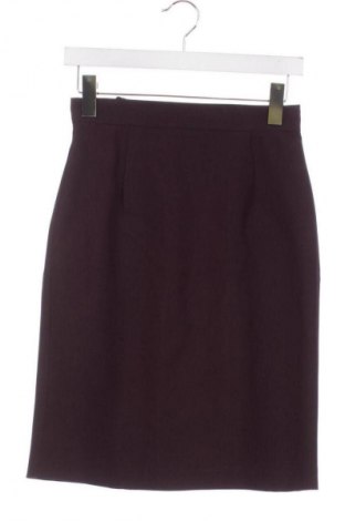 Sukně Unbranded, Velikost XS, Barva Fialová, Cena  247,00 Kč