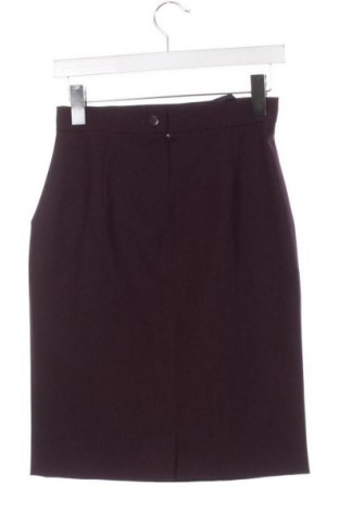 Sukně Unbranded, Velikost XS, Barva Fialová, Cena  247,00 Kč