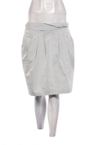 Φούστα Unbranded, Μέγεθος M, Χρώμα Γκρί, Τιμή 10,00 €