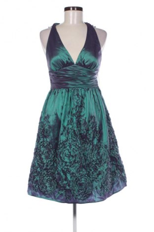 Kleid Adrianna Papell, Größe XS, Farbe Mehrfarbig, Preis € 32,99