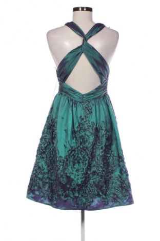 Kleid Adrianna Papell, Größe XS, Farbe Mehrfarbig, Preis € 32,99