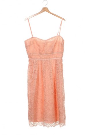 Šaty  Boohoo, Veľkosť L, Farba Ružová, Cena  29,59 €
