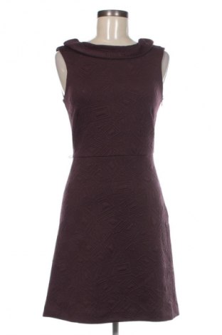 Kleid Comma,, Größe XS, Farbe Lila, Preis 29,99 €