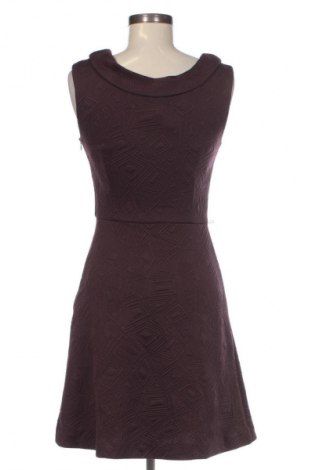 Kleid Comma,, Größe XS, Farbe Lila, Preis 29,99 €