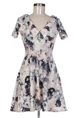 Kleid Dorothy Perkins, Größe S, Farbe Mehrfarbig, Preis 13,80 €