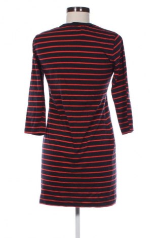 Kleid French Connection, Größe M, Farbe Mehrfarbig, Preis € 42,05