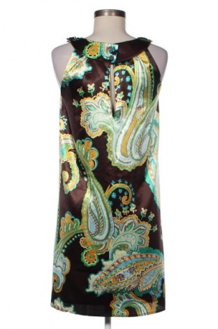 Kleid Jake*s, Größe M, Farbe Mehrfarbig, Preis € 24,55