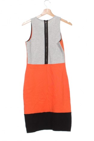Kleid Kenneth Cole, Größe XS, Farbe Mehrfarbig, Preis € 66,53