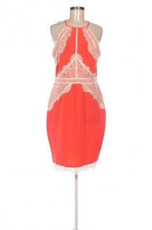 Kleid Lipsy London, Größe M, Farbe Mehrfarbig, Preis € 23,59