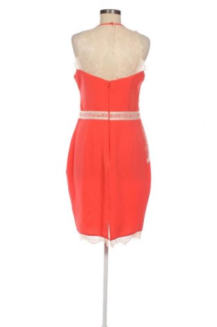 Kleid Lipsy London, Größe M, Farbe Mehrfarbig, Preis € 23,59