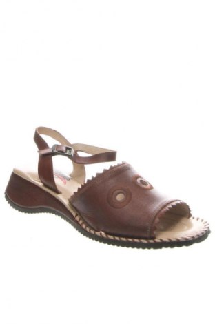 Sandalen Pikolinos, Größe 39, Farbe Braun, Preis € 80,99