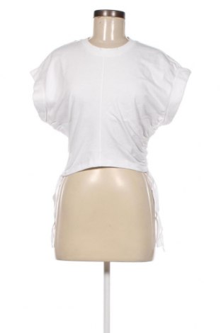 Damen Shirt AllSaints, Größe S, Farbe Ecru, Preis 77,32 €