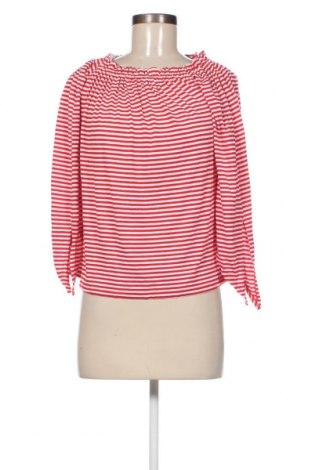 Γυναικεία μπλούζα Cache Cache, Μέγεθος S, Χρώμα Πολύχρωμο, Τιμή 2,00 €