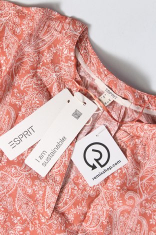 Γυναικεία μπλούζα Esprit, Μέγεθος XXS, Χρώμα Πολύχρωμο, Τιμή 3,34 €