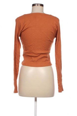 Γυναικεία μπλούζα Haily`s, Μέγεθος XL, Χρώμα Καφέ, Τιμή 37,11 €