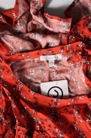 Γυναικεία μπλούζα Mavi, Μέγεθος XS, Χρώμα Πολύχρωμο, Τιμή 5,20 €