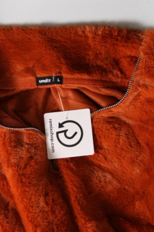 Γυναικεία μπλούζα Undiz, Μέγεθος L, Χρώμα Πορτοκαλί, Τιμή 12,99 €