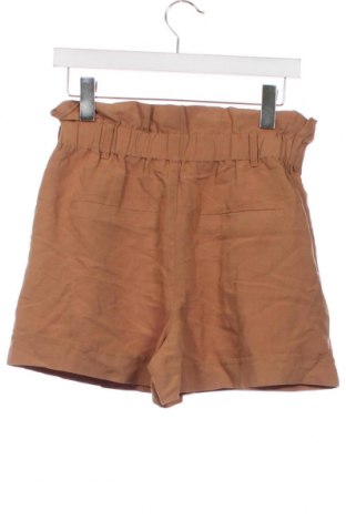 Γυναικείο κοντό παντελόνι, Μέγεθος XS, Χρώμα Καφέ, Τιμή 9,27 €