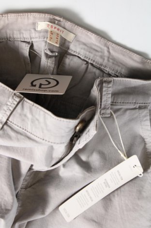 Damen Shorts Esprit, Größe S, Farbe Grau, Preis € 37,11