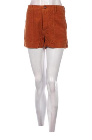 Γυναικείο κοντό παντελόνι Outerknown, Μέγεθος S, Χρώμα Καφέ, Τιμή 6,65 €