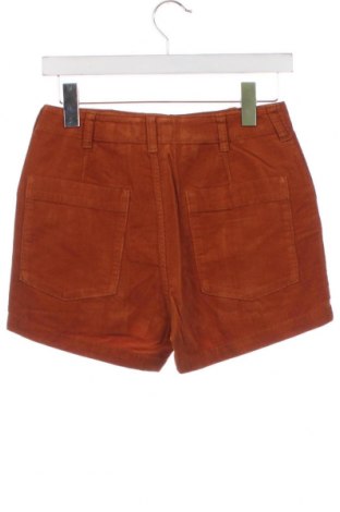 Damen Shorts Outerknown, Größe XS, Farbe Braun, Preis € 66,49