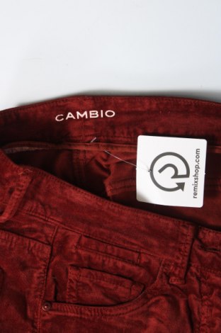 Γυναικείο παντελόνι Cambio, Μέγεθος S, Χρώμα Καφέ, Τιμή 30,31 €