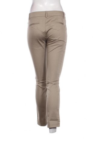 Damenhose Eterna, Größe M, Farbe Grün, Preis 9,49 €