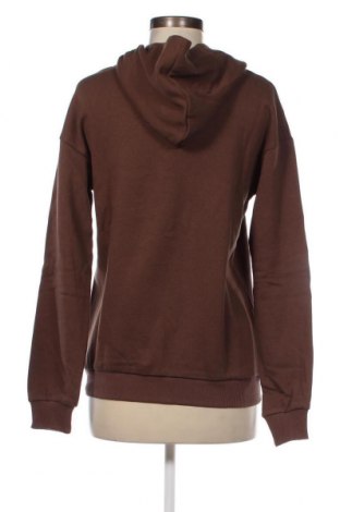 Damen Sweatshirt AW LAB, Größe XS, Farbe Braun, Preis 8,77 €