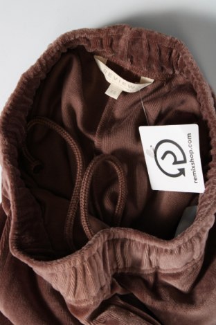 Damen Sporthose Review, Größe XS, Farbe Braun, Preis 7,77 €