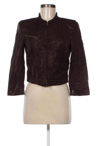 Γυναικείο μπουφάν De.corp By Esprit, Μέγεθος M, Χρώμα Καφέ, Τιμή 30,31 €